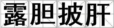 露胆披肝