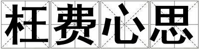 枉费心思